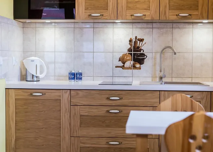 Tatrytop Zaciszne 公寓 扎科帕内